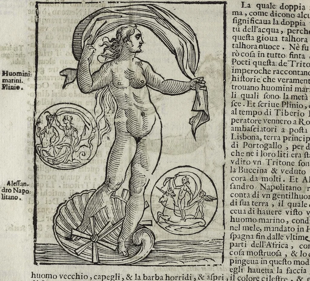 An illustration from Imagini Delli Dei De Gl'Antichi Di Vincenzo Cartari Reggiano: Ridotte da capo à piedi alle loro reali, & non più per l'adietro osseruate simiglianze. Cauate da' Marmi, Bronzi, Medaglie, Gioie, & altre memorie antiche; con esquisito studio, & particolare diligenza Da Lorenzo Pignoria Padoano. Aggionteui le Annotationi del medesimo sopra tutta l'opera ... Con le Allegorie sopra le Imagini di Cesare Malfatti Padoano, migliorate, & accresciute nouamente. Et vn Catalogo di cento più famosi dei della Gentilità. Con l'aggiunta d'vn'altro Catalogo de gl'Autori Antichi, & Moderni ..., 1674, leaf 150