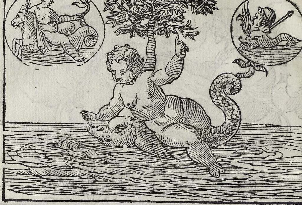 An illustration from Imagini Delli Dei De Gl'Antichi Di Vincenzo Cartari Reggiano: Ridotte da capo à piedi alle loro reali, & non più per l'adietro osseruate simiglianze. Cauate da' Marmi, Bronzi, Medaglie, Gioie, & altre memorie antiche; con esquisito studio, & particolare diligenza Da Lorenzo Pignoria Padoano. Aggionteui le Annotationi del medesimo sopra tutta l'opera ... Con le Allegorie sopra le Imagini di Cesare Malfatti Padoano, migliorate, & accresciute nouamente. Et vn Catalogo di cento più famosi dei della Gentilità. Con l'aggiunta d'vn'altro Catalogo de gl'Autori Antichi, & Moderni ..., 1674, leaf 318