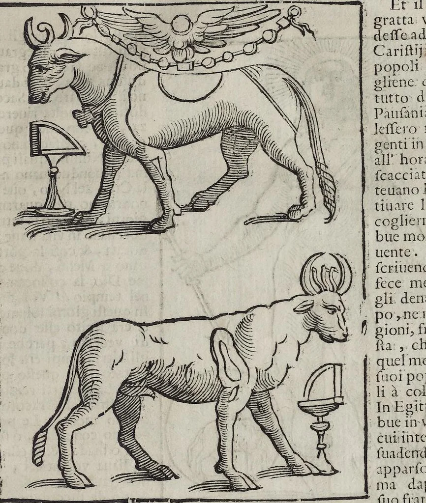 An illustration from Imagini Delli Dei De Gl'Antichi Di Vincenzo Cartari Reggiano: Ridotte da capo à piedi alle loro reali, & non più per l'adietro osseruate simiglianze. Cauate da' Marmi, Bronzi, Medaglie, Gioie, & altre memorie antiche; con esquisito studio, & particolare diligenza Da Lorenzo Pignoria Padoano. Aggionteui le Annotationi del medesimo sopra tutta l'opera ... Con le Allegorie sopra le Imagini di Cesare Malfatti Padoano, migliorate, & accresciute nouamente. Et vn Catalogo di cento più famosi dei della Gentilità. Con l'aggiunta d'vn'altro Catalogo de gl'Autori Antichi, & Moderni ..., 1674, leaf 63