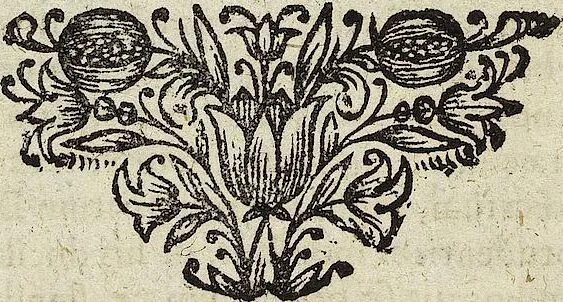 An illustration from Theatrum Ethnico Idololatricum Politico-Historicum Ethnicorum Idololatrias, simulacra, Templa, sacrificia & Deos: Illorum Origines, Ritus, & Caeremonias ..., 1699, leaf 235