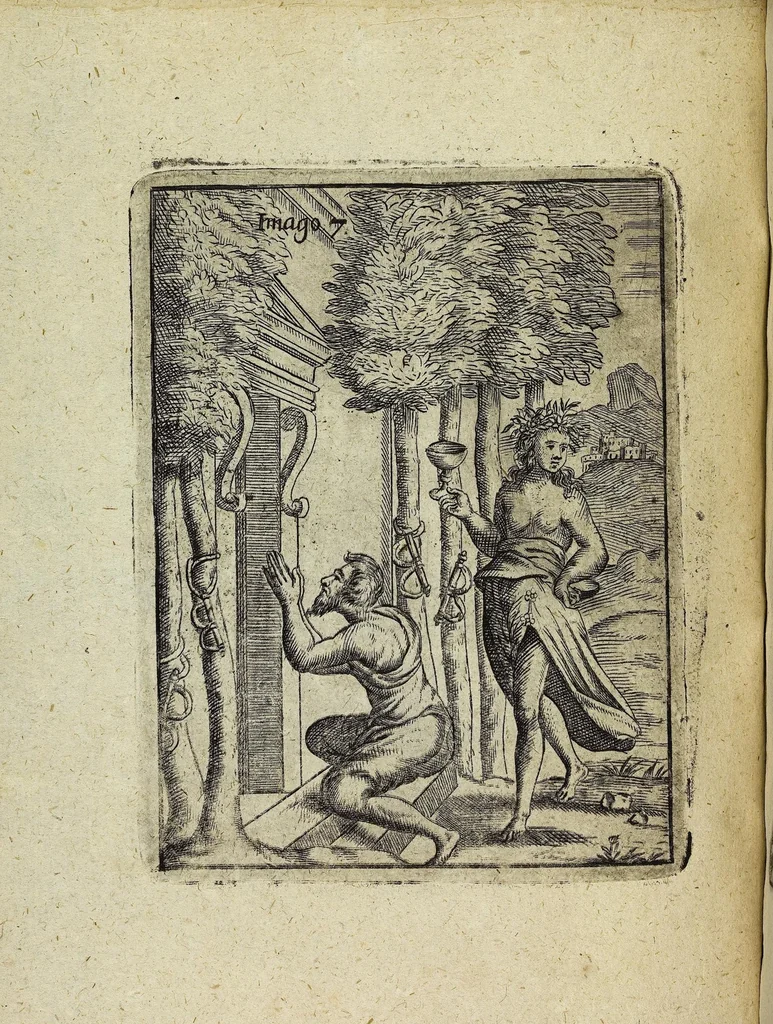 An illustration from Theatrum Ethnico Idololatricum Politico-Historicum Ethnicorum Idololatrias, simulacra, Templa, sacrificia & Deos: Illorum Origines, Ritus, & Caeremonias ..., 1699, leaf 258