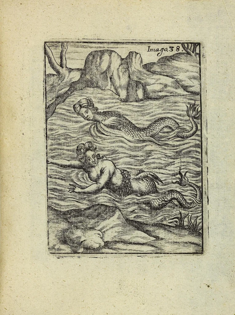 An illustration from Theatrum Ethnico Idololatricum Politico-Historicum Ethnicorum Idololatrias, simulacra, Templa, sacrificia & Deos: Illorum Origines, Ritus, & Caeremonias ..., 1699, leaf 289