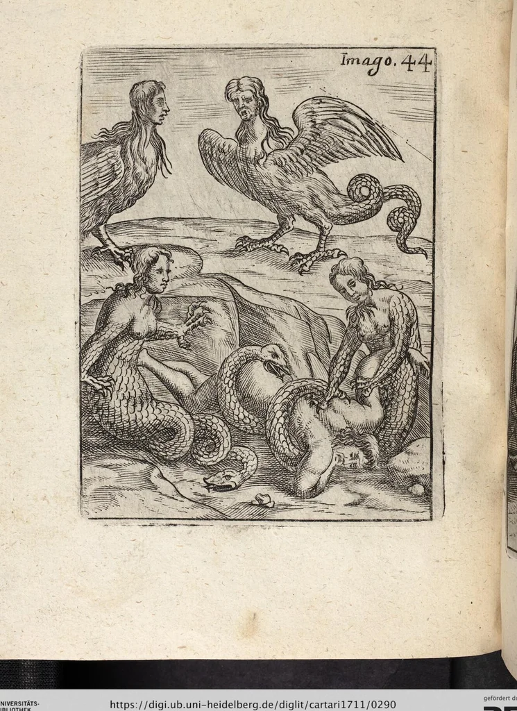 An illustration from Deliciae Cranachianæ, Oder Vlrich von Cranachs/ weiland Obristen und General-Ingenieurs, Rare und Kunstreiche Fried- und Krieges-Inventiones: bestehende in XI. Kupfferstiche. Anitzo Allen Liebhabern der Artollerey zu sonderbaren Gefallen/ auff vieler Anhalten offentlich ans Licht gebracht, 1672, leaf 290