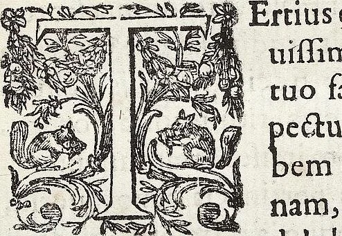 An illustration from (Band 1), 1644, leaf 25