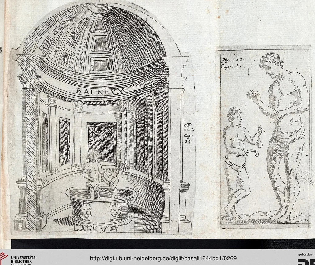 An illustration from (Band 1), 1644, leaf 269