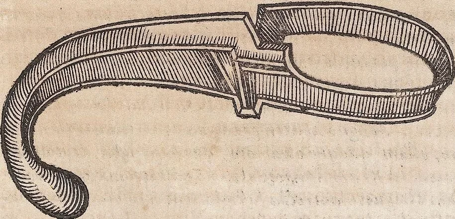 An illustration from (Band 1), 1644, leaf 274