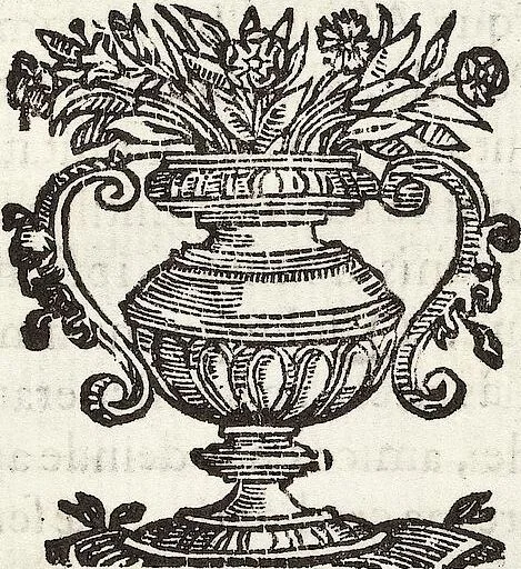 An illustration from (Band 1), 1644, leaf 316