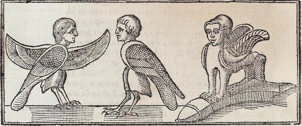 An illustration from (Band 1), 1644, leaf 68