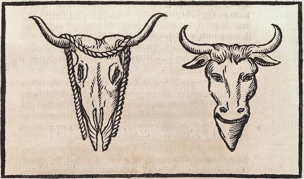 An illustration from (Band 1), 1644, leaf 86