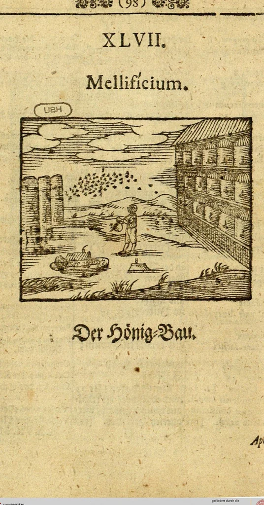 An illustration from Joh. Amos Comenii Orbis Sensualium Pictus: Hoc est: Omnium fundamentalium in mondo rerum, & in vita actionum, Pictura & Nomenclatura, 1698, leaf 100