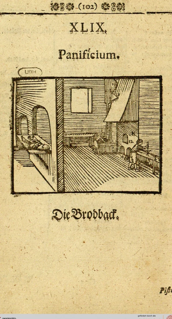 An illustration from Joh. Amos Comenii Orbis Sensualium Pictus: Hoc est: Omnium fundamentalium in mondo rerum, & in vita actionum, Pictura & Nomenclatura, 1698, leaf 104