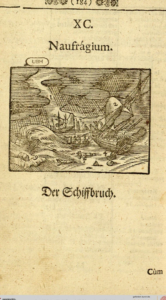 An illustration from Joh. Amos Comenii Orbis Sensualium Pictus: Hoc est: Omnium fundamentalium in mondo rerum, & in vita actionum, Pictura & Nomenclatura, 1698, leaf 186