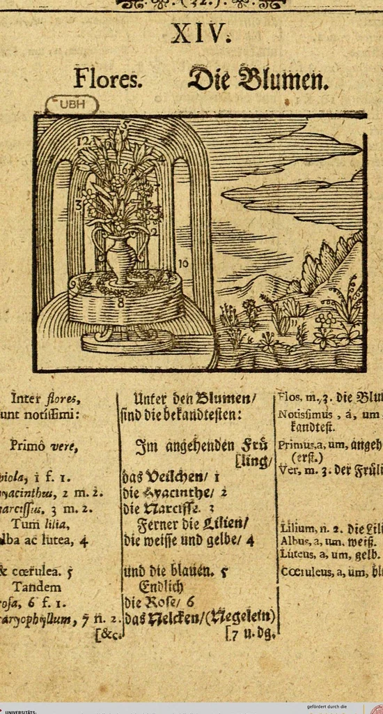 An illustration from Joh. Amos Comenii Orbis Sensualium Pictus: Hoc est: Omnium fundamentalium in mondo rerum, & in vita actionum, Pictura & Nomenclatura, 1698, leaf 34