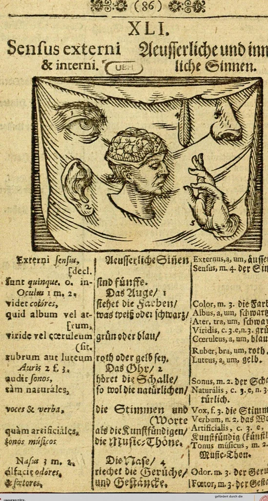 An illustration from Joh. Amos Comenii Orbis Sensualium Pictus: Hoc est: Omnium fundamentalium in mondo rerum, & in vita actionum, Pictura & Nomenclatura, 1698, leaf 88
