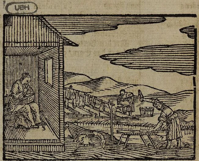 An illustration from Joh. Amos Comenii Orbis Sensualium Pictus Trilinguis: Hoc est: Omnium fundamentalium in mundo rerum, & in vita actionum, Pictura & Nomenclatura Latina, Germanica & Hungarica, Cum Titulorum juxta atque Vocabulorum Indice, 1708, leaf 142