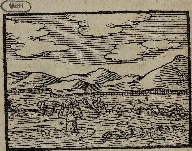 An illustration from Joh. Amos Comenii Orbis Sensualium Pictus Trilinguis: Hoc est: Omnium fundamentalium in mundo rerum, & in vita actionum, Pictura & Nomenclatura Latina, Germanica & Hungarica, Cum Titulorum juxta atque Vocabulorum Indice, 1708, leaf 196