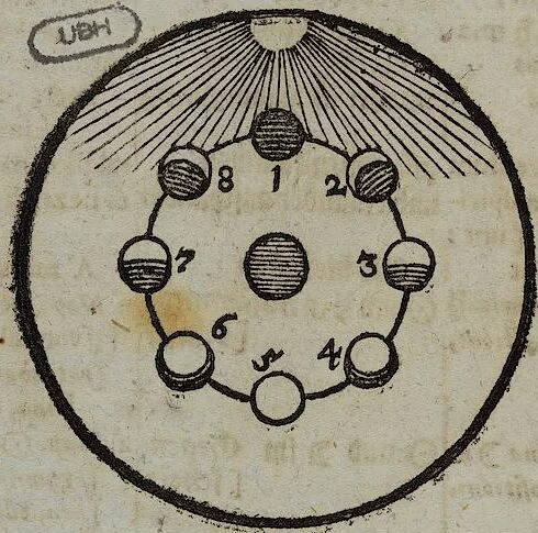 An illustration from Joh. Amos Comenii Orbis Sensualium Pictus Trilinguis: Hoc est: Omnium fundamentalium in mundo rerum, & in vita actionum, Pictura & Nomenclatura Latina, Germanica & Hungarica, Cum Titulorum juxta atque Vocabulorum Indice, 1708, leaf 234