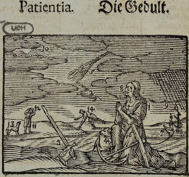 An illustration from Joh. Amos Comenii Orbis Sensualium Pictus Trilinguis: Hoc est: Omnium fundamentalium in mundo rerum, & in vita actionum, Pictura & Nomenclatura Latina, Germanica & Hungarica, Cum Titulorum juxta atque Vocabulorum Indice, 1708, leaf 254