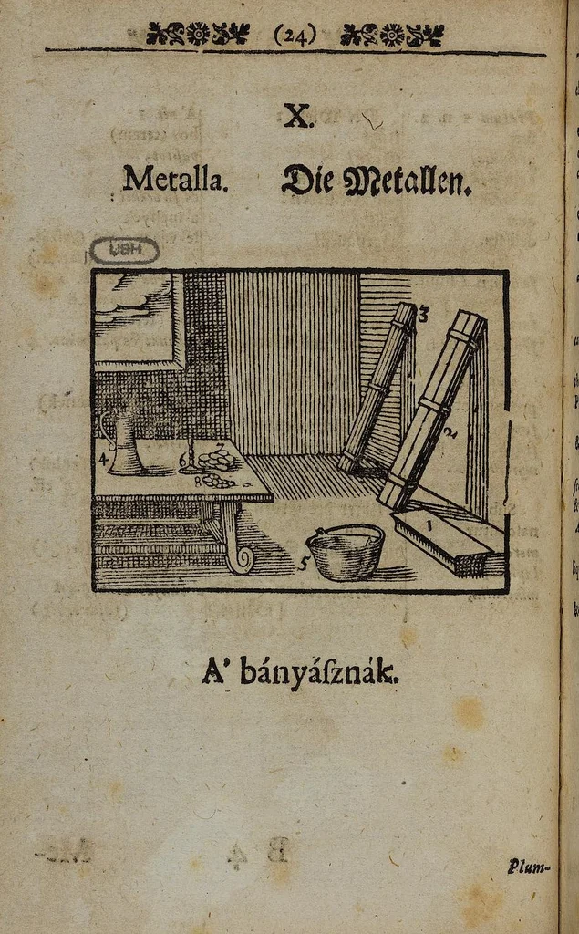 An illustration from Joh. Amos Comenii Orbis Sensualium Pictus Trilinguis: Hoc est: Omnium fundamentalium in mundo rerum, & in vita actionum, Pictura & Nomenclatura Latina, Germanica & Hungarica, Cum Titulorum juxta atque Vocabulorum Indice, 1708, leaf 42