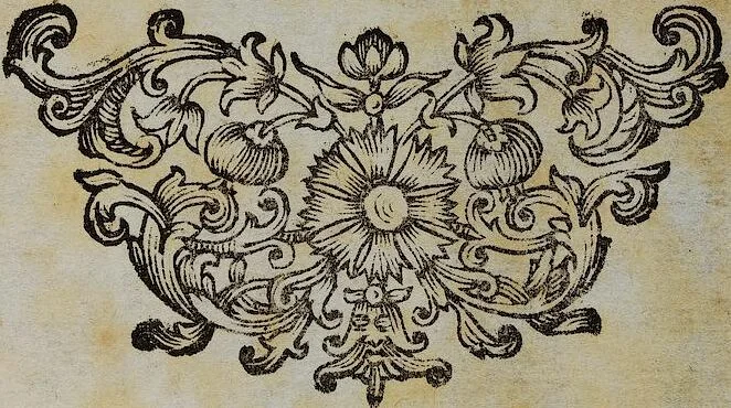 An illustration from Joh. Amos Comenii Orbis Sensualium Pictus Trilinguis: Hoc est: Omnium fundamentalium in mundo rerum, & in vita actionum, Pictura & Nomenclatura Latina, Germanica & Hungarica, Cum Titulorum juxta atque Vocabulorum Indice, 1708, leaf 491