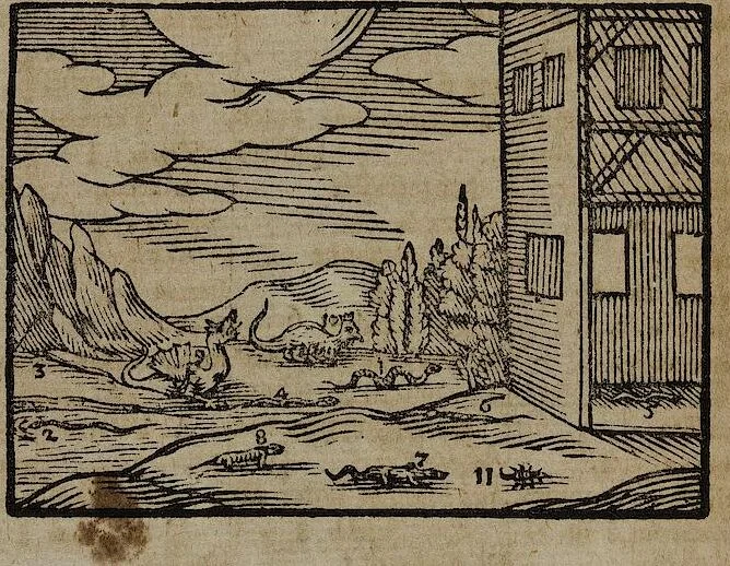 An illustration from Joh. Amos Comenii Orbis Sensualium Pictus Trilinguis: Hoc est: Omnium fundamentalium in mundo rerum, & in vita actionum, Pictura & Nomenclatura Latina, Germanica & Hungarica, Cum Titulorum juxta atque Vocabulorum Indice, 1708, leaf 82