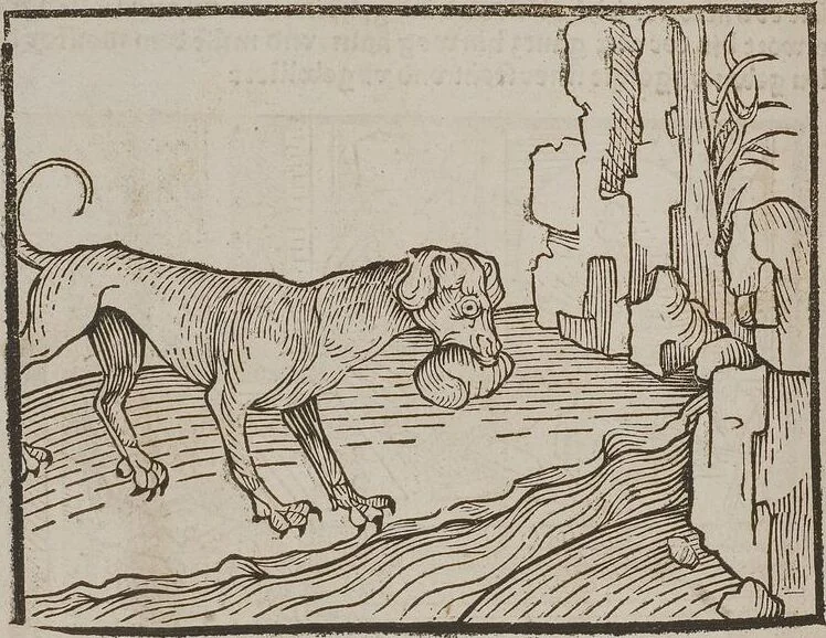 An illustration from Johann Lange ; Giovanni Boccaccio (Druck) ; Johannes Adelphus (Druck) ; Thomas Lirer (Druck) ; Johannes de Capua (Druck) ; Jacobus de Cessolis (Druck), leaf 420