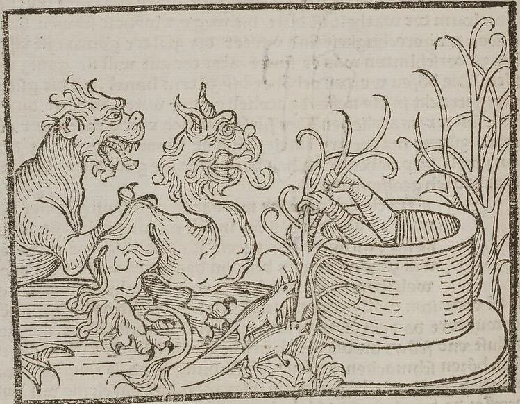 An illustration from Johann Lange ; Giovanni Boccaccio (Druck) ; Johannes Adelphus (Druck) ; Thomas Lirer (Druck) ; Johannes de Capua (Druck) ; Jacobus de Cessolis (Druck), leaf 424