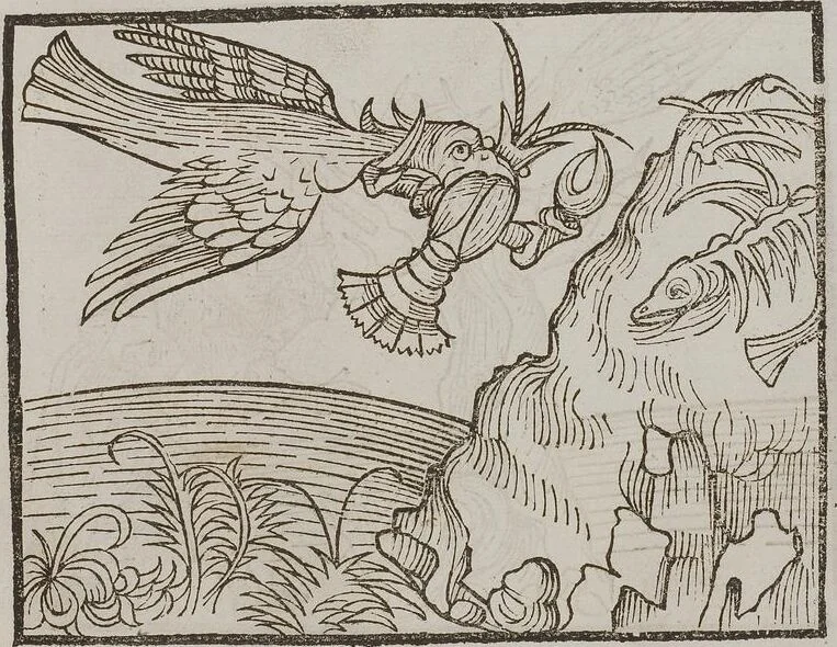 An illustration from Johann Lange ; Giovanni Boccaccio (Druck) ; Johannes Adelphus (Druck) ; Thomas Lirer (Druck) ; Johannes de Capua (Druck) ; Jacobus de Cessolis (Druck), leaf 441