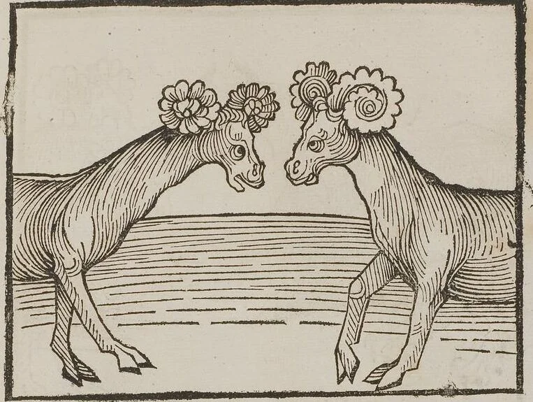 An illustration from Johann Lange ; Giovanni Boccaccio (Druck) ; Johannes Adelphus (Druck) ; Thomas Lirer (Druck) ; Johannes de Capua (Druck) ; Jacobus de Cessolis (Druck), leaf 463