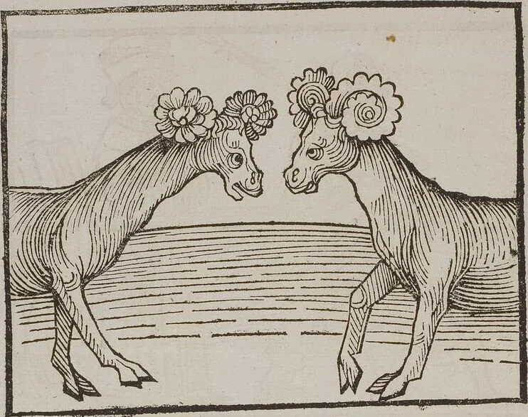 An illustration from Johann Lange ; Giovanni Boccaccio (Druck) ; Johannes Adelphus (Druck) ; Thomas Lirer (Druck) ; Johannes de Capua (Druck) ; Jacobus de Cessolis (Druck), leaf 474