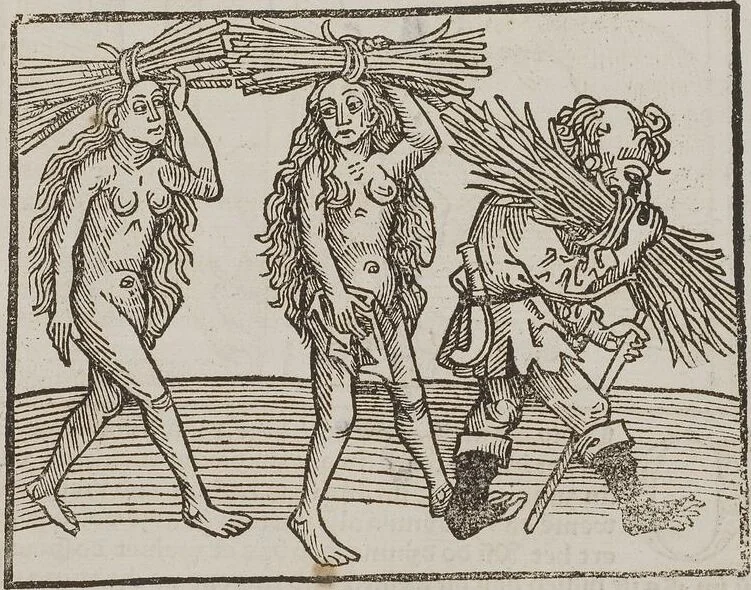 An illustration from Johann Lange ; Giovanni Boccaccio (Druck) ; Johannes Adelphus (Druck) ; Thomas Lirer (Druck) ; Johannes de Capua (Druck) ; Jacobus de Cessolis (Druck), leaf 491
