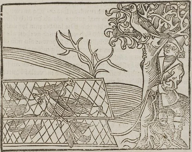 An illustration from Johann Lange ; Giovanni Boccaccio (Druck) ; Johannes Adelphus (Druck) ; Thomas Lirer (Druck) ; Johannes de Capua (Druck) ; Jacobus de Cessolis (Druck), leaf 501