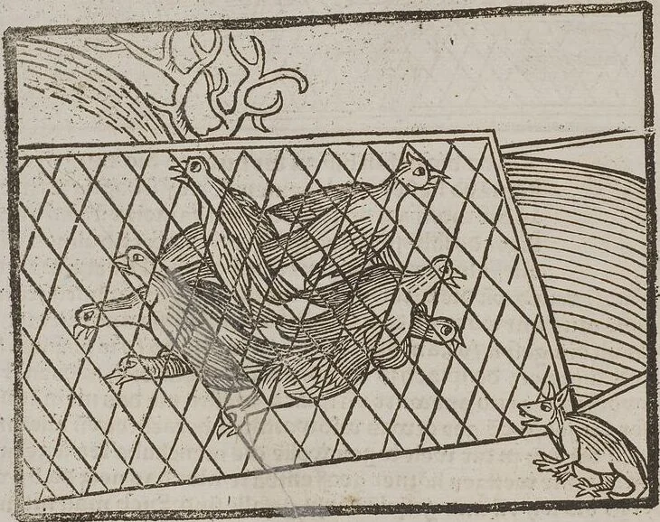 An illustration from Johann Lange ; Giovanni Boccaccio (Druck) ; Johannes Adelphus (Druck) ; Thomas Lirer (Druck) ; Johannes de Capua (Druck) ; Jacobus de Cessolis (Druck), leaf 502