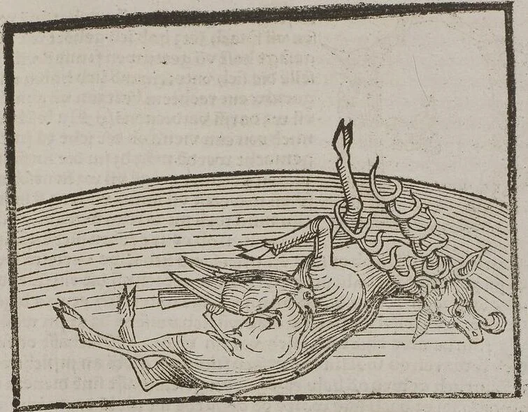 An illustration from Johann Lange ; Giovanni Boccaccio (Druck) ; Johannes Adelphus (Druck) ; Thomas Lirer (Druck) ; Johannes de Capua (Druck) ; Jacobus de Cessolis (Druck), leaf 519
