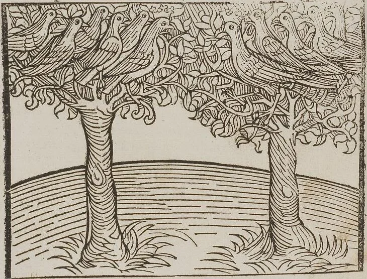 An illustration from Johann Lange ; Giovanni Boccaccio (Druck) ; Johannes Adelphus (Druck) ; Thomas Lirer (Druck) ; Johannes de Capua (Druck) ; Jacobus de Cessolis (Druck), leaf 520