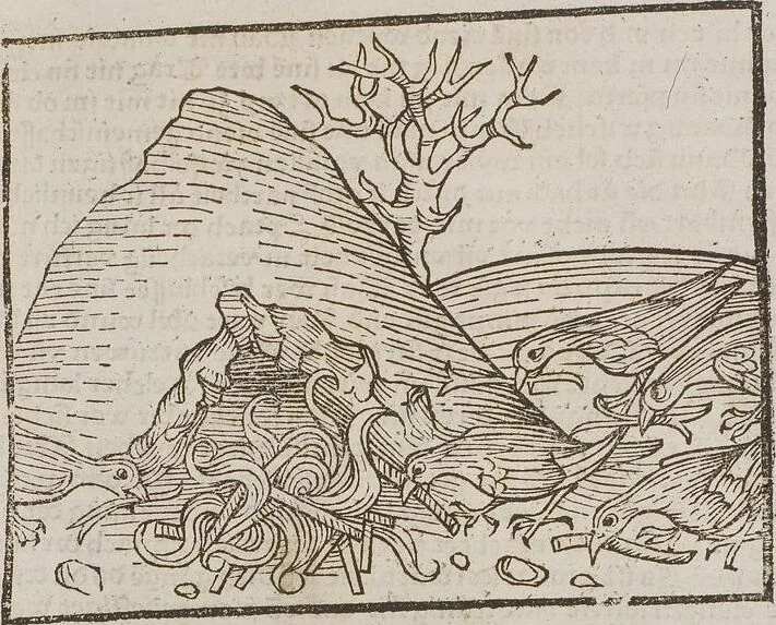 An illustration from Johann Lange ; Giovanni Boccaccio (Druck) ; Johannes Adelphus (Druck) ; Thomas Lirer (Druck) ; Johannes de Capua (Druck) ; Jacobus de Cessolis (Druck), leaf 541