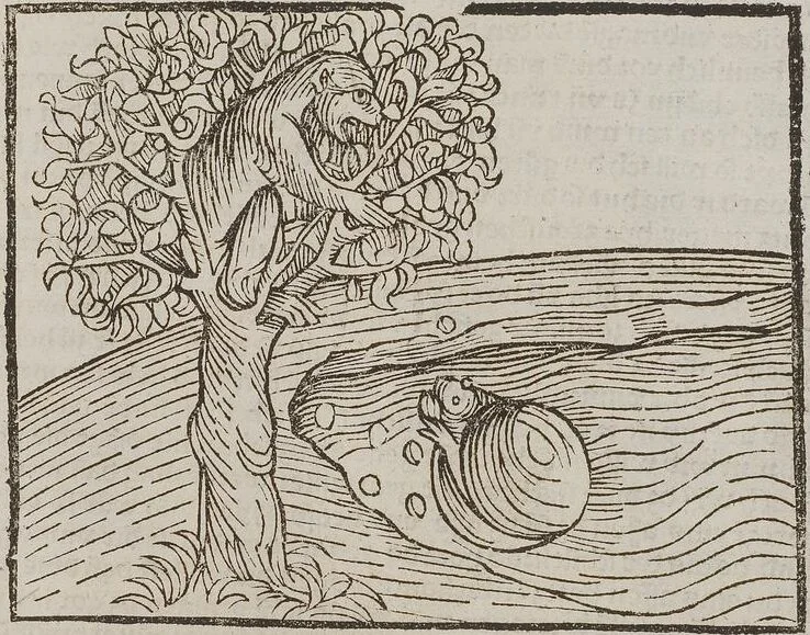 An illustration from Johann Lange ; Giovanni Boccaccio (Druck) ; Johannes Adelphus (Druck) ; Thomas Lirer (Druck) ; Johannes de Capua (Druck) ; Jacobus de Cessolis (Druck), leaf 545