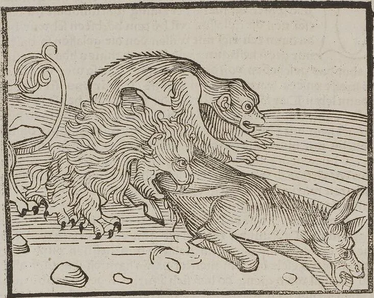 An illustration from Johann Lange ; Giovanni Boccaccio (Druck) ; Johannes Adelphus (Druck) ; Thomas Lirer (Druck) ; Johannes de Capua (Druck) ; Jacobus de Cessolis (Druck), leaf 552