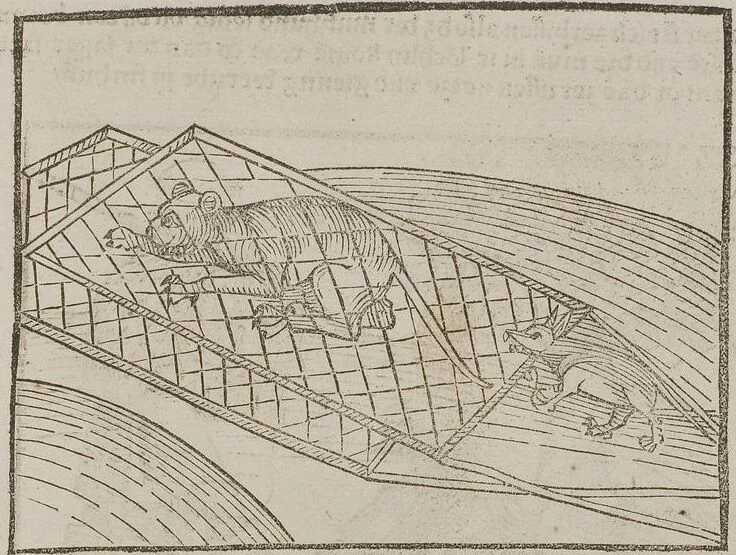 An illustration from Johann Lange ; Giovanni Boccaccio (Druck) ; Johannes Adelphus (Druck) ; Thomas Lirer (Druck) ; Johannes de Capua (Druck) ; Jacobus de Cessolis (Druck), leaf 559