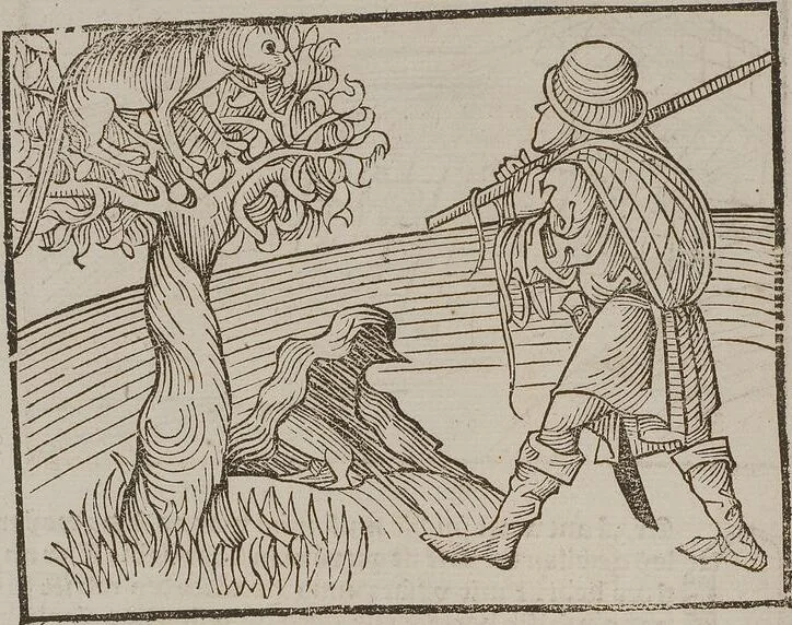 An illustration from Johann Lange ; Giovanni Boccaccio (Druck) ; Johannes Adelphus (Druck) ; Thomas Lirer (Druck) ; Johannes de Capua (Druck) ; Jacobus de Cessolis (Druck), leaf 560