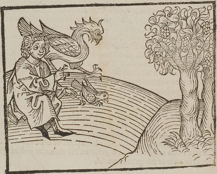 An illustration from Johann Lange ; Giovanni Boccaccio (Druck) ; Johannes Adelphus (Druck) ; Thomas Lirer (Druck) ; Johannes de Capua (Druck) ; Jacobus de Cessolis (Druck), leaf 562