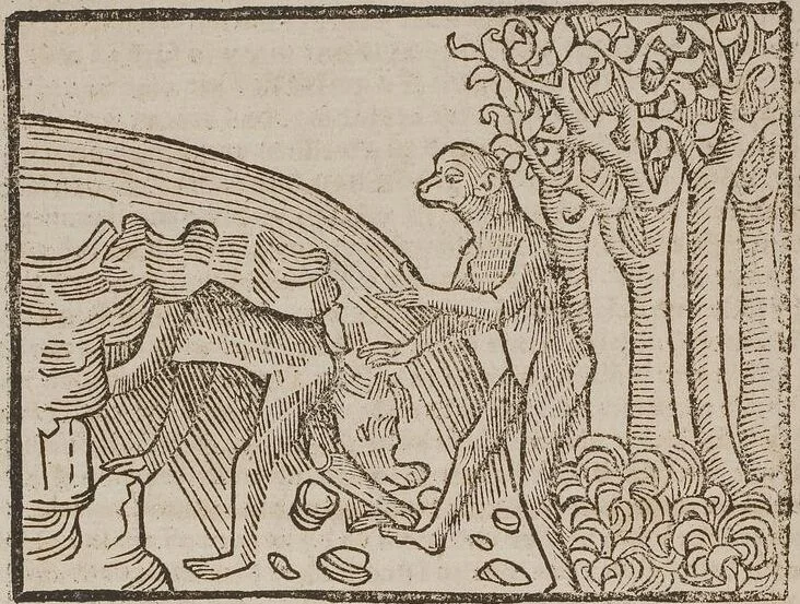 An illustration from Johann Lange ; Giovanni Boccaccio (Druck) ; Johannes Adelphus (Druck) ; Thomas Lirer (Druck) ; Johannes de Capua (Druck) ; Jacobus de Cessolis (Druck), leaf 614