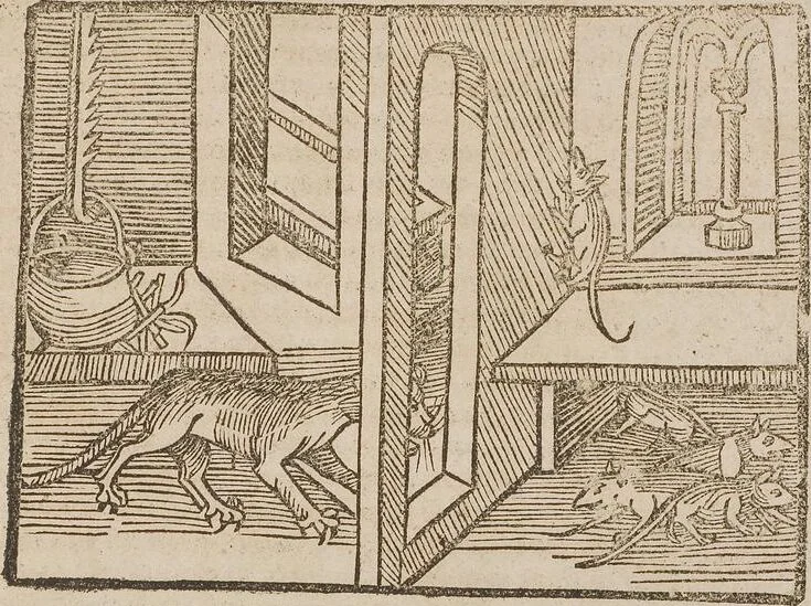 An illustration from Johann Lange ; Giovanni Boccaccio (Druck) ; Johannes Adelphus (Druck) ; Thomas Lirer (Druck) ; Johannes de Capua (Druck) ; Jacobus de Cessolis (Druck), leaf 621