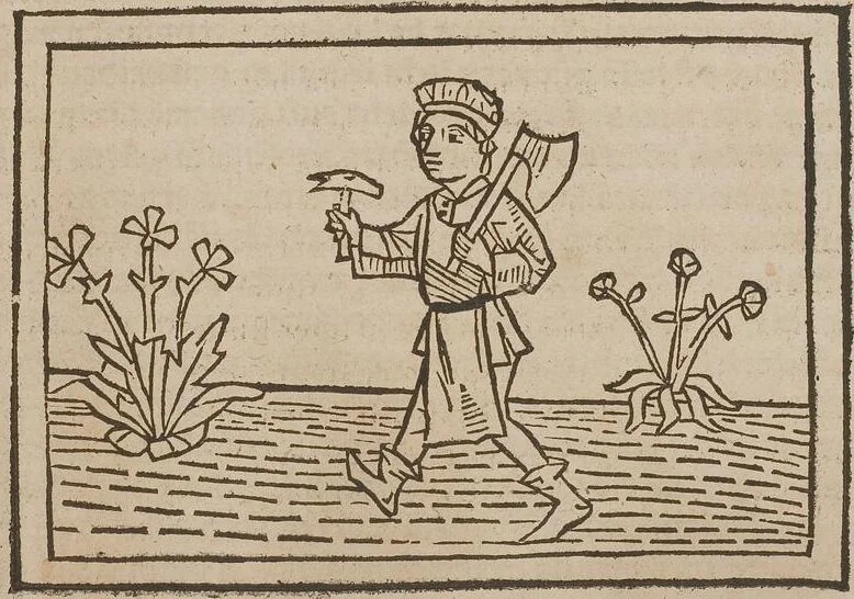 An illustration from Johann Lange ; Giovanni Boccaccio (Druck) ; Johannes Adelphus (Druck) ; Thomas Lirer (Druck) ; Johannes de Capua (Druck) ; Jacobus de Cessolis (Druck), leaf 665
