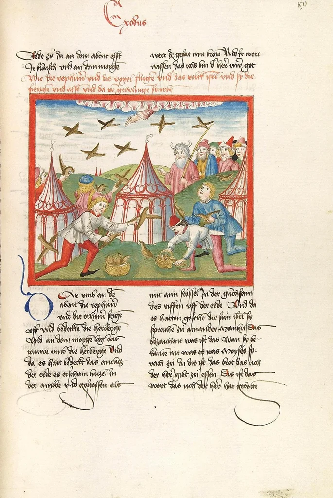 An illustration from Bücher Mose, Josua, Richter, Ruth, 1477, leaf 185