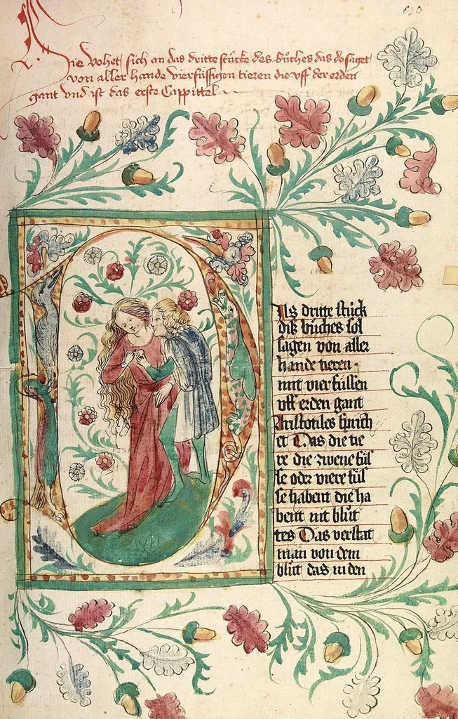 An illustration from Das Buch der Natur, 1442, leaf 177
