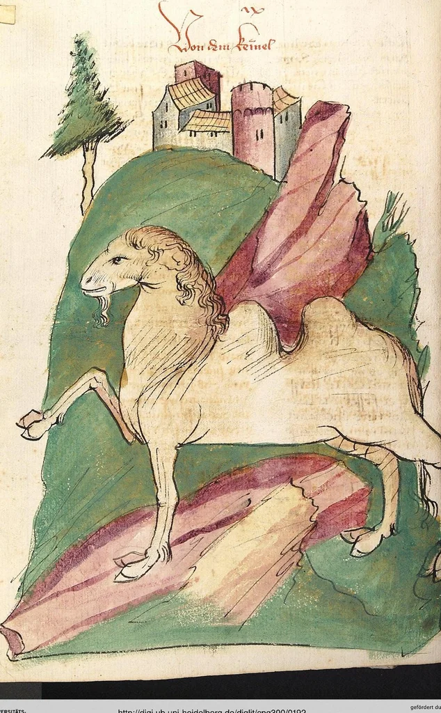 An illustration from Das Buch der Natur, 1442, leaf 192