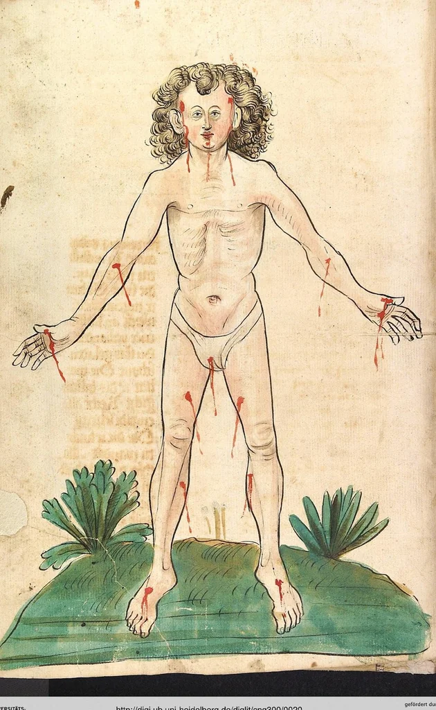 An illustration from Das Buch der Natur, 1442, leaf 20