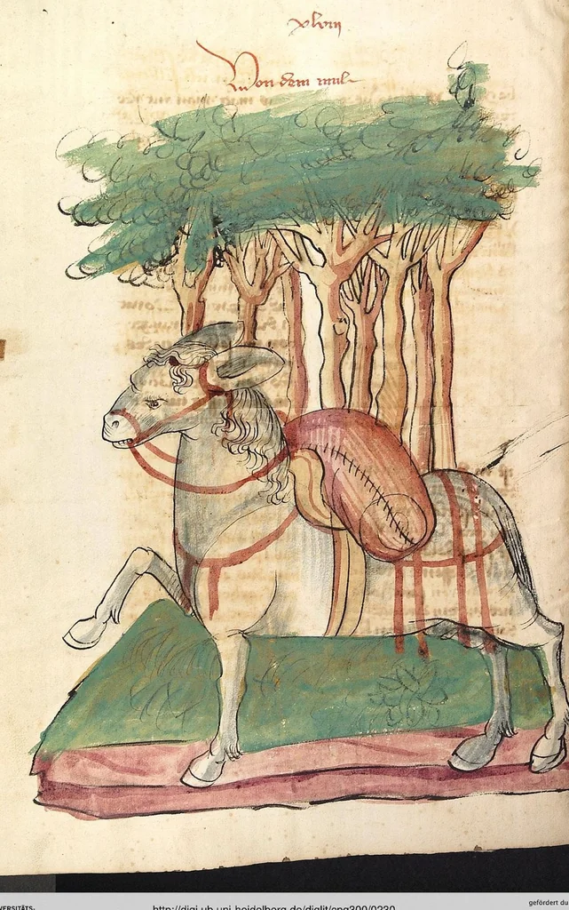 An illustration from Das Buch der Natur, 1442, leaf 230