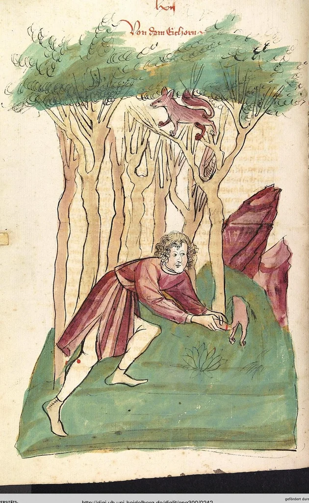 An illustration from Das Buch der Natur, 1442, leaf 242